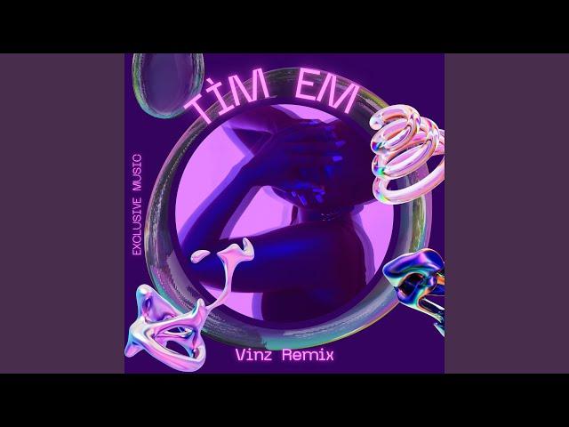 Tìm Em (Remix)