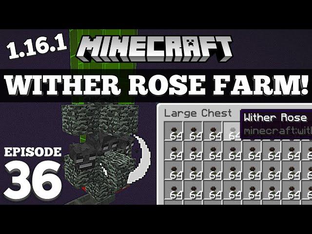 How To Make a Wither Rose Farm Minecraft 1.16.1 #36