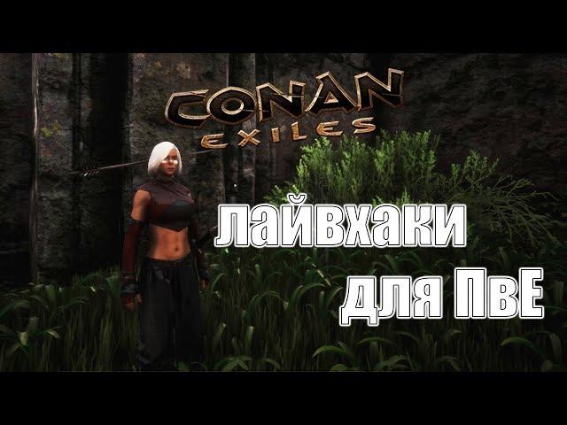 Conan Exiles гайд для новичков (лайвхаки)