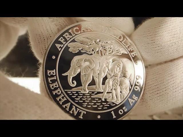 Серебряная монета 2013 Somalia 1 oz Silver Elephant coin BU