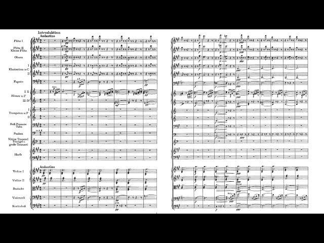 An der schönen blauen Donau Op. 314 - J. Strauss II (Score)