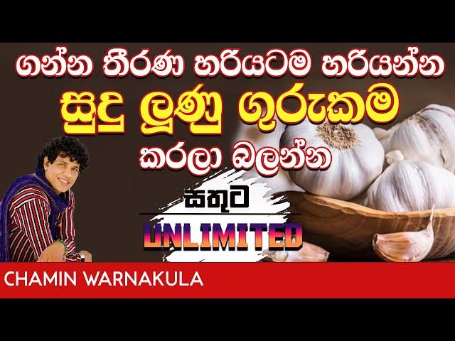 ගන්න තීරණ හරියටම හරියන සුදුළුුණු ගුරුකම | Dr Chamin Warnakula | NETH FM UNLIMITED SATHUTA