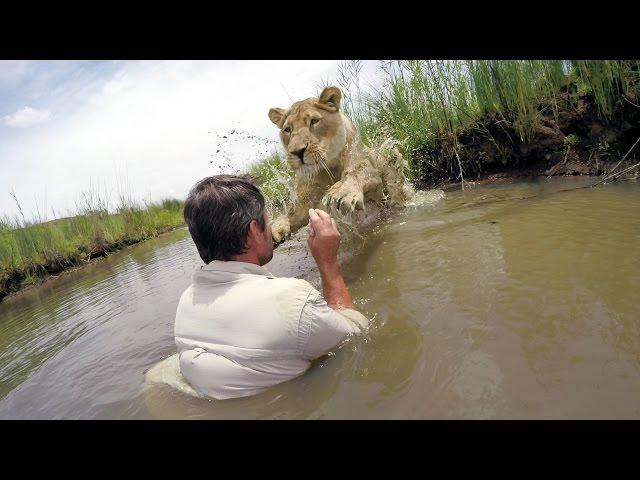 GoPro VR BTS: For the Love of Lions