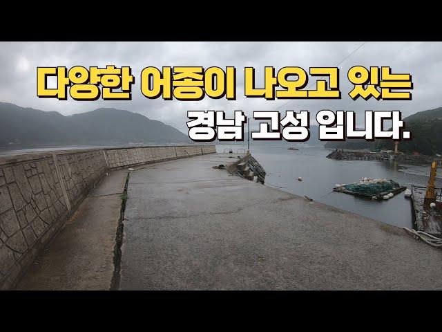 [Ep.64]감성돔 찾으러 경남 고성 방파제에 갔더니.. 던지면 달라드는 녀석들... 카드채비 챙기세요!