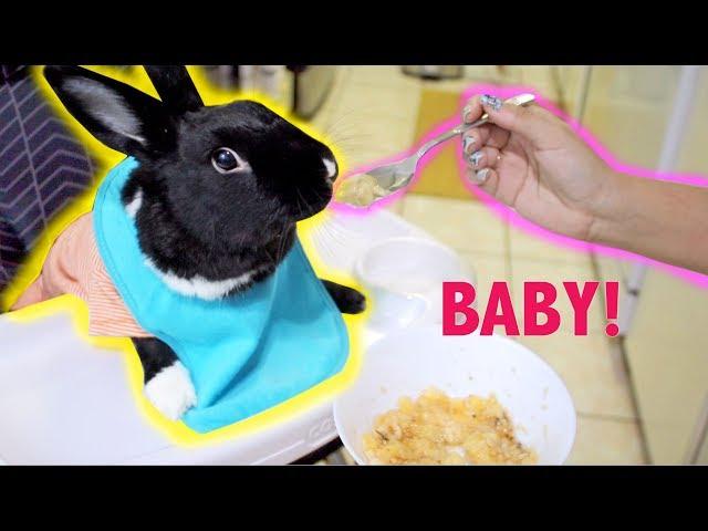 TREATING MY RABBIT LIKE A BABY FOR A DAY