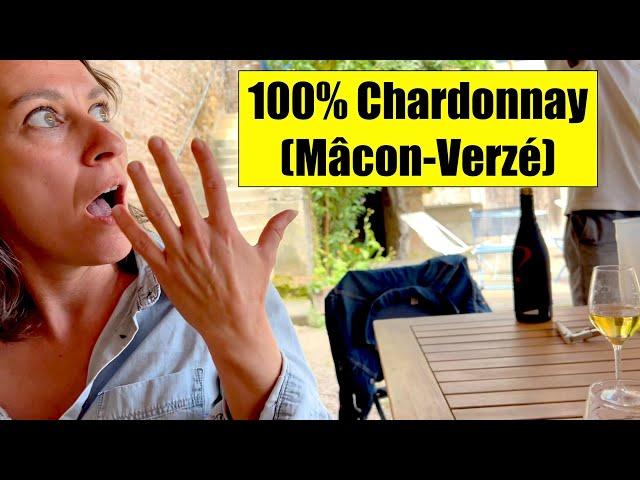 Dégustation vin - Chardonnay - Mâcon-Verzé - Nicolas Maillet - Dégustation à l'aveugle