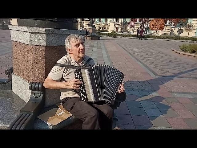 Уличный музыкант. Киев. Мариинский дворец. Звучит баян. Осень 2019