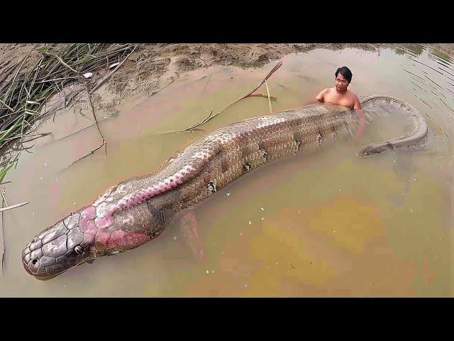 Fisherman Caught A River Monster, The Ending Will Shock You..!!!