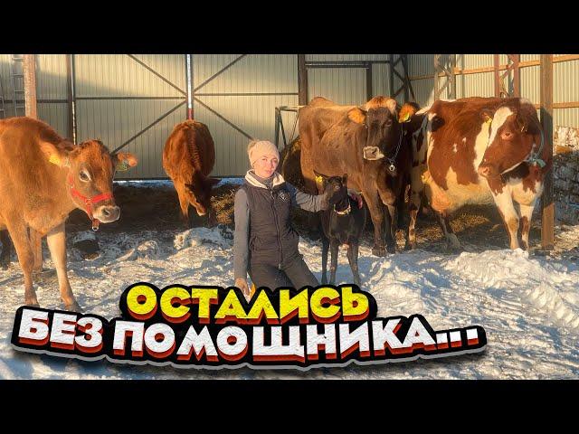 Не выдержал ТРАКТОР, теперь ручной труд | Молодая Ферма