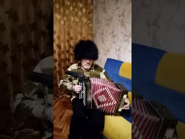 #shorts #песня шол казак на побывку домой #гармонь