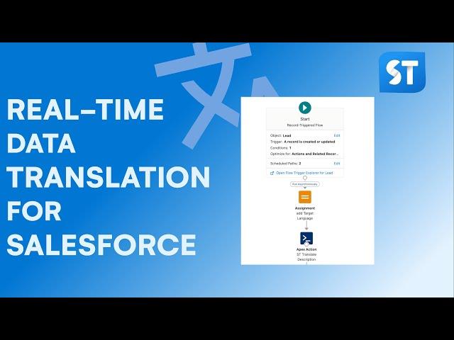 Real-Time Data Translation for Salesforce