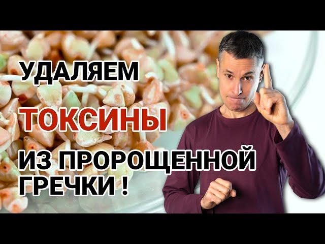 5 опасностей проросшей гречки, о которых вы никогда не знали