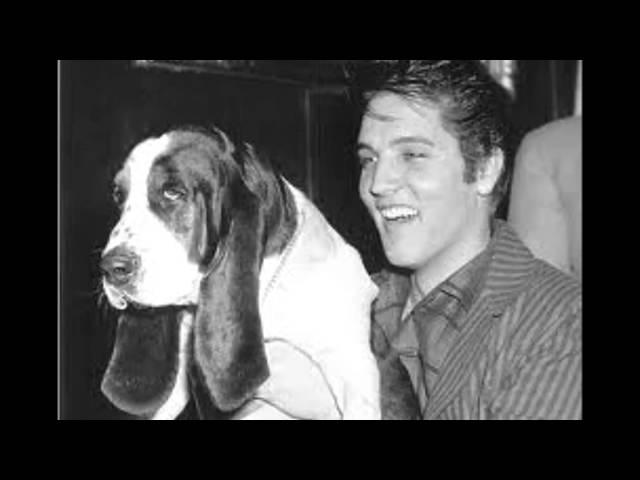 Elvis Presley- Love Me Tender ( End Title Version)