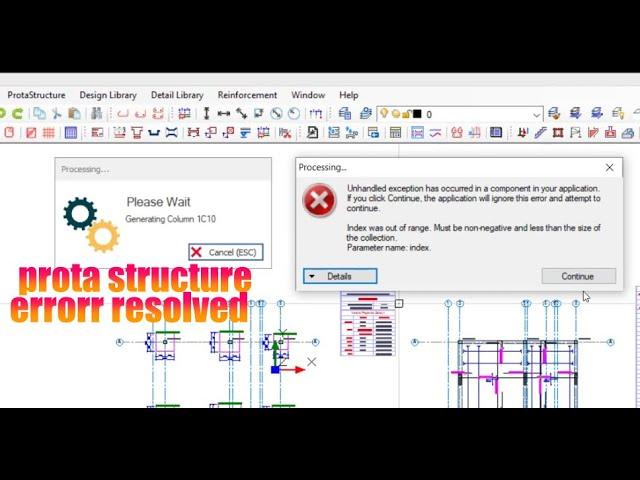 Prota Structure; How to resolve UNHANDLED EXCEPTION ERROR in prota structures.