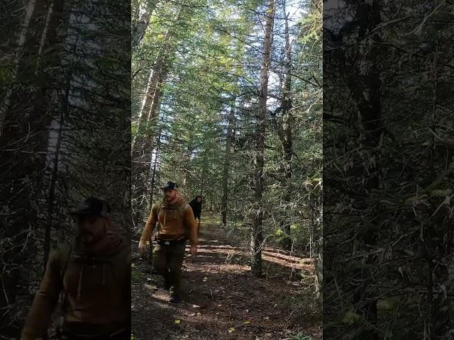 Hiking to Titan Falls Alberta. Full video on channel #hiking #alberta #kananaskis