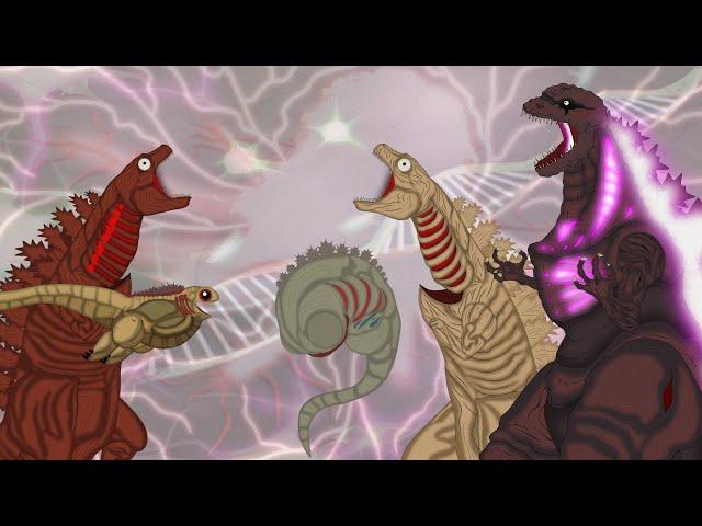 EVOLUTION of SHIN GODZILLA: Size Comparison | GODZILLA CARTOON