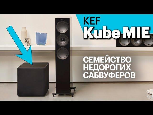 KEF Kube MIE — серия интересных и сравнительно недорогих сабвуферов с динамиками от 8” до 15”.