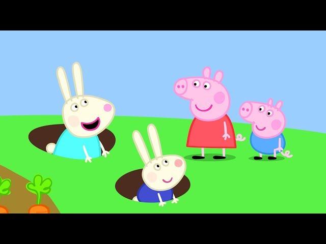 Peppa Pig Nederlands Compilatie Nieuwe Afleveringen | Kelly Konijn | Tekenfilm | Peppa de Big