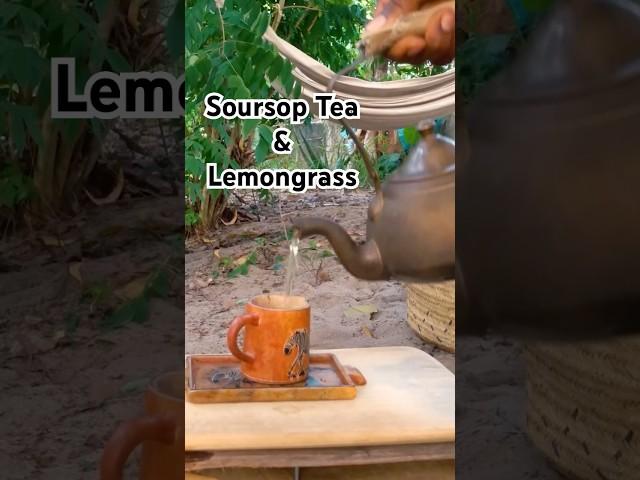 Soursop  tea outdoor and chilling with books  #shorts #nature #foodforest #offbabylon