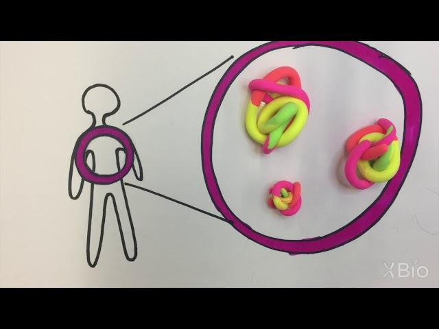 What is Protein Folding and Misfolding?