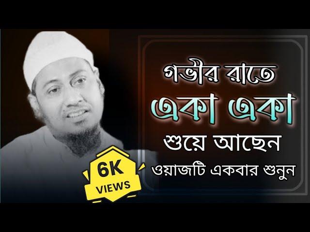 ওয়াজটি একবার শুনুন : আনিসুর রহমান আশরাফী। Anisur Rahman Ashrafi. waz 2023|| Waz || It's ISLAM.