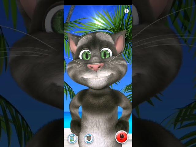 tom's messenger (2012) vs talking tom for messenger (2015)