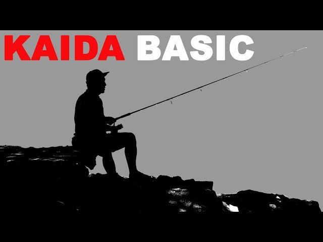 Спиннинг KAIDA. KAIDA BASIC.