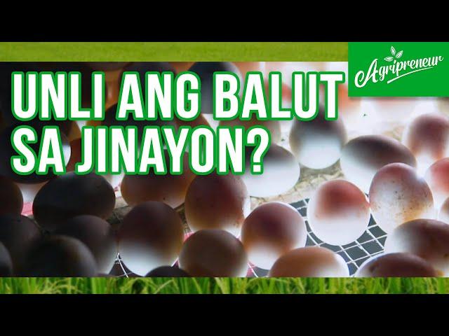 Unli Balut mula sa Jinayon's Duck Farm