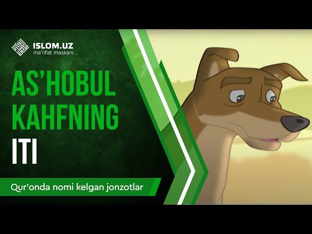 25. As'hobul-Kahfning iti (1-qism) | Qur'onda nomi kelgan jonzotlar