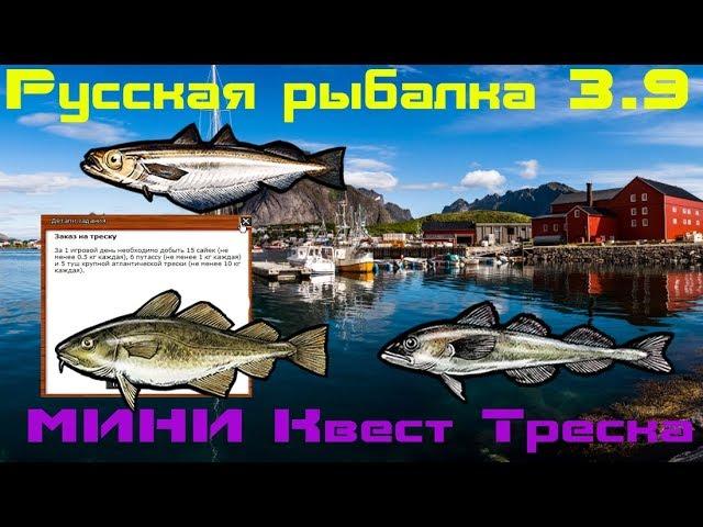 Русская рыбалка 3.9.  Норвежский промысел.  Квест Треска.