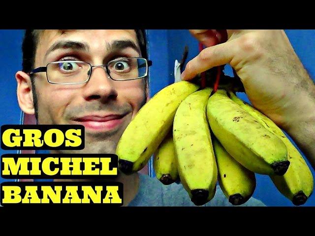 Gros Michel Banana Review - Weird Fruit Explorer Ep. 150