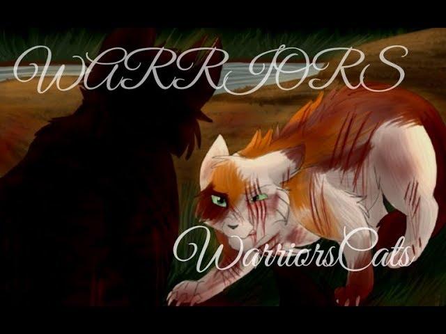 | Animator Tribute | {WC}-WARRIOR [For Silver Frost]