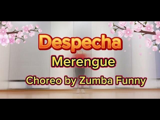 Despecha - Rosalia / Merengue/ Choreo by Zumba Funny/ 메렝게/ 부산퍼니/ 부산줌바/ 해운대줌바/ 장산줌바/ 좌동줌바/ 광안리줌바