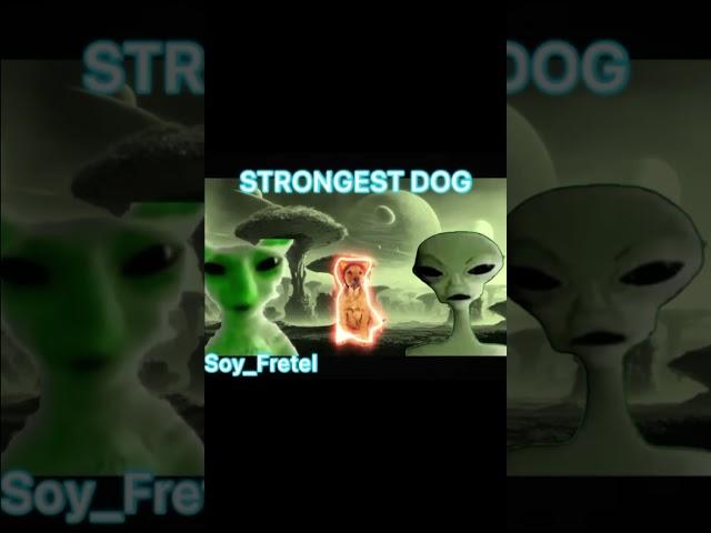 strongest dog #dog #edit #alien #anime