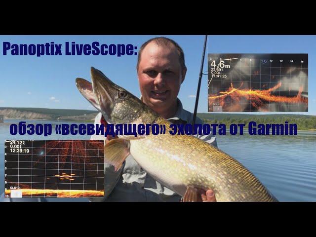 Panoptix LiveScope: обзор «всевидящего» эхолота от Garmin