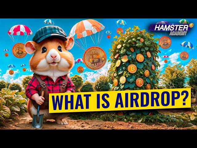 From Zero to Crypto Hero: Mastering Airdrop Farming with Hamster Academy️