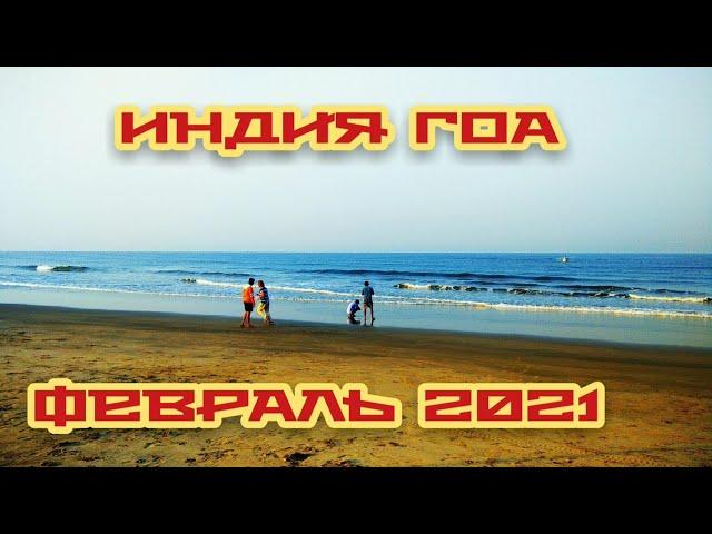 Индия ГОА. АРАМБОЛЬ утром. Февраль 2021. Сегодня. Животные под утро устроили Разборки.