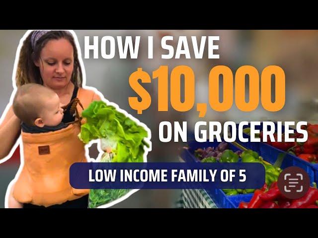 17 Habits to SAVE MONEY on GroceriesFeed your Family on a Budget in 2025