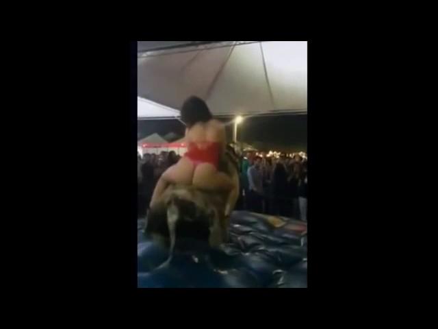 Верхом на быке