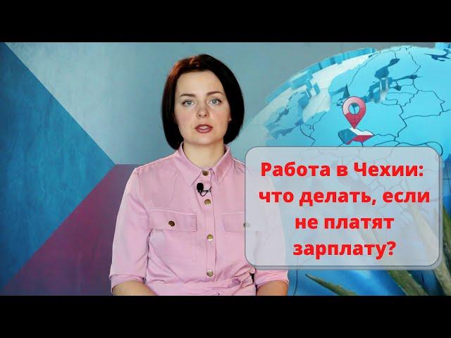 Работа в Чехии: что делать, если не платят зарплату?