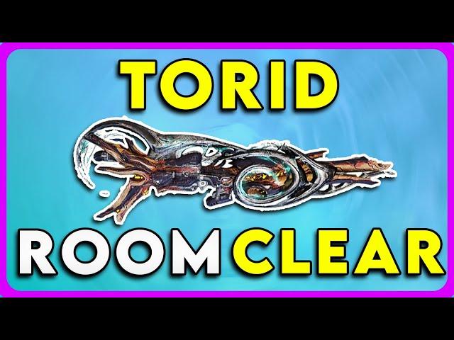 Warframe Torid Incarnon Build | Steel Path Room Clear in 2024!