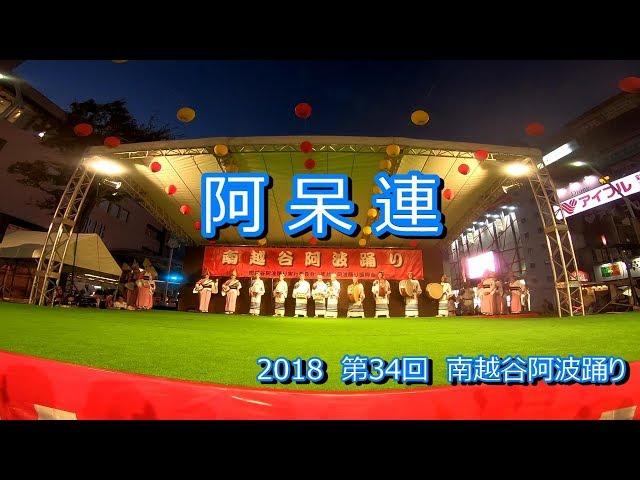 阿呆連　南越谷阿波踊り　2018