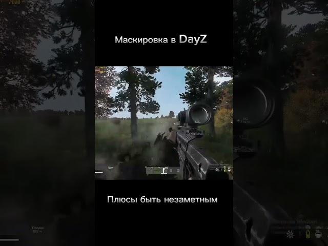 Он меня не заметил, маскировка в DayZ