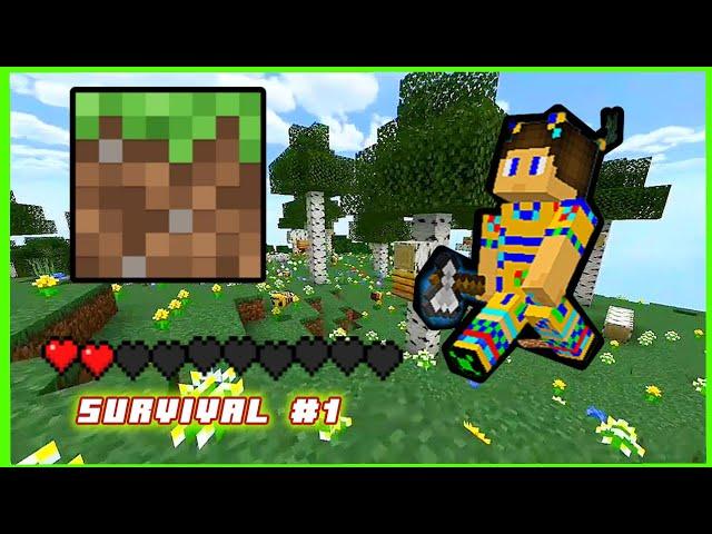 MINECRAFT SURVIVAL. №1 ️