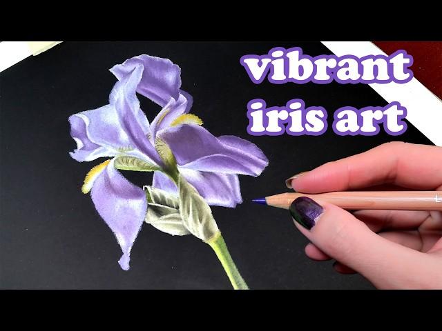 Step-by-Step Guide to Drawing a Beautiful Iris with Colored Pencils