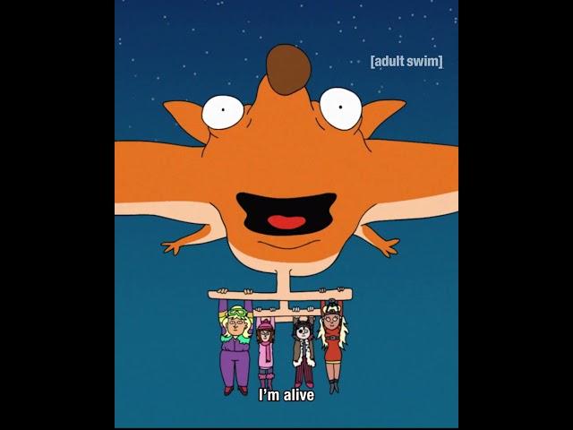 Yolo: Rainbow Trinity | Sneak Peek | The Flying Fox | Adult Swim Europe