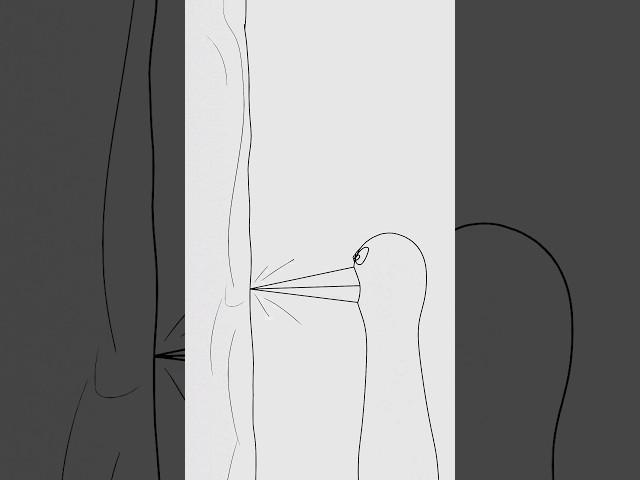 Cartoon woodpecker.