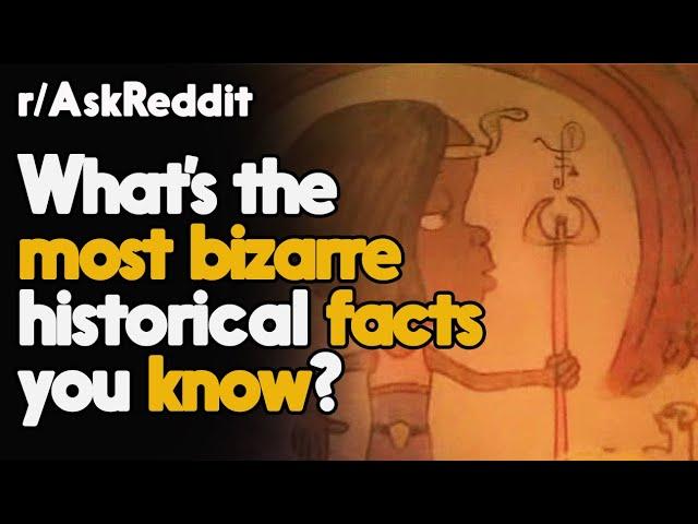 What's the most bizarre Facts you know? r/AskReddit Reddit Stories  | Top Posts