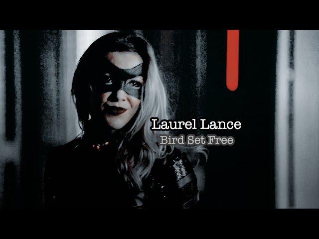 Laurel Lance | Bird Set Free