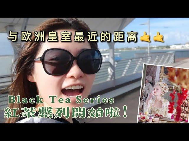 Black Tea Series EP1红茶系列Most popular tea in Europe 风靡世界的饮品，欧洲人视他如命 #Chinese tea #Origin of black tea